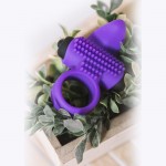 Двойное эрекционное кольцо с вибрацией Bullet Lastic Ring