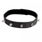 Ошейник с клёпкамиSitabella Black
