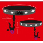 Подвязки с зажимами для половых губ Bad Kitty Garters with clamps