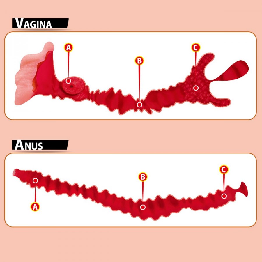 Мастурбатор полуторс с двойным слоем материала Adel Onahole Real Vagina