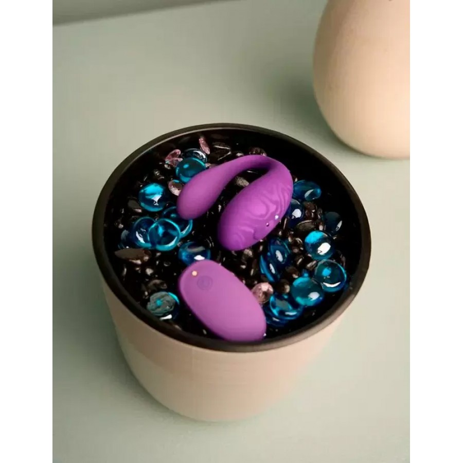 Вибратор для пар с приложением и пультом ДУ Amovibe TWIN+ Purple