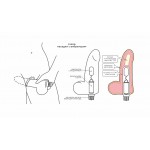 ВИБРАТОР РЕАЛИСТИК HUMAN FORM 22 х 4,6 см 605507