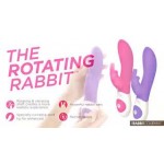 The Rabbit Company Кролик для G-точки малиновый 12 режимов